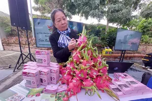 Trung Quốc sản xuất 1,6 triệu tấn thanh long/năm, thách thức lớn với thanh long Việt Nam