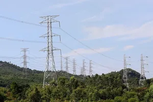 Gỡ vướng đường dây 500 kV mạch 3: Bộ NN&PTNT trình dự thảo nghị định về tạm sử dụng rừng