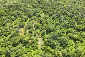 Ngân hàng thế giới muốn mua thêm 1 triệu tấn CO2 của Việt Nam với giá 5 USD/tấn