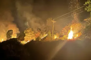 Cảnh báo cháy rừng nguy hiểm, Thủ tướng chỉ đạo khẩn