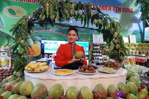 Xúc tiến thương mại, đầu tư cho các tỉnh trung du và miền núi phía Bắc