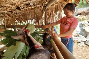 Nhờ được vay 5 triệu đồng mà thoát nghèo ở vùng khó khăn Hà Giang