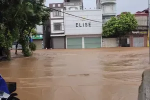 3 người chết, 5 người mất tích do mưa lũ ở Sơn La 