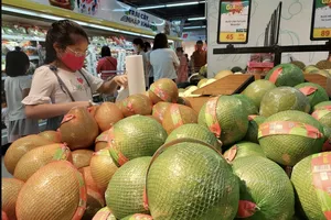 Tin vui với trái bưởi Việt Nam