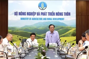 Đề xuất lập Hội đồng lúa gạo quốc gia