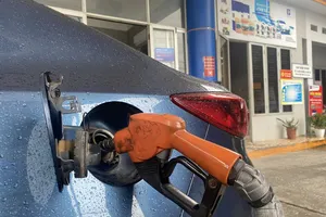 Tổng cục Quản lý thị trường kiểm tra một loạt doanh nghiệp xăng dầu, kết quả ra sao?