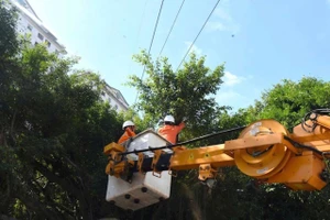 Bão số 3 sắp đổ bộ, ngành điện khuyến cáo người dân không làm 5 việc sau