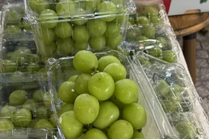 Kết quả kiểm tra nho sữa Trung Quốc nhập khẩu vào Việt Nam