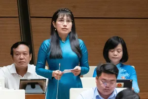 Đại biểu Quốc hội: Nhiều tàu cá nằm bờ nhớ về thời hoàng kim trong thổn thức