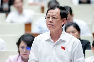 ĐBQH: ‘Quy định theo pháp luật liên quan thì không rõ là pháp luật nào?’