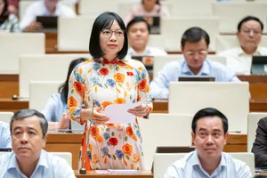 ĐBQH: 'Luật Điện lực sửa đổi thông qua tại một kỳ họp là quá gấp rút'