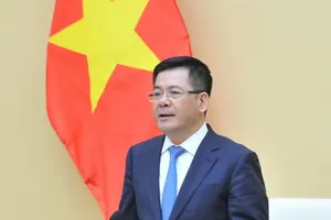 'Kết thúc mô hình Tổng cục Quản lý thị trường là việc khó nhưng không thể chậm trễ hơn'