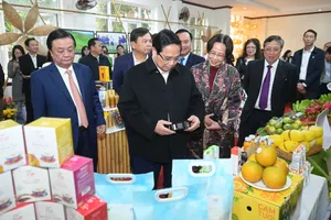 Thủ tướng biểu dương tinh thần 'biến không thể thành có thể' của ngành nông nghiệp