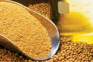 Đề nghị áp thuế bình đẳng với nguyên liệu nhập khẩu làm thức ăn chăn nuôi