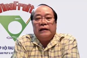 Cảnh báo tình trạng ’ăn cắp’ chứng nhận để xuất khẩu sang EU