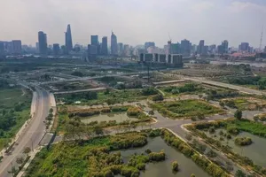 Đề xuất chuyển 86 thẩm quyền của Bộ trưởng Bộ Nông nghiệp và Môi trường về cấp tỉnh
