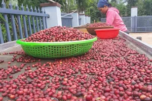 Đề xuất giảm từ 20 - 50% phí, lệ phí trong lĩnh vực nông nghiệp và môi trường