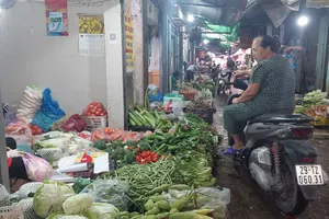 Bộ Nông nghiệp và Môi trường ra quân kiểm tra việc dùng chất kích thích tăng trưởng hoa quả