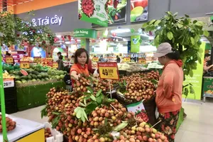 Nông sản thu hoạch rộ, Thủ tướng chỉ đạo các giải pháp khắc phục tình trạng 'được mùa mất giá'