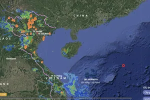 Bộ Nông nghiệp và Môi trường yêu cầu chủ động ứng phó với vùng áp thấp nguy hiểm