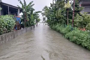 Bão số 1 làm 2 người chết, 4 người mất tích gây thiệt hại nghiêm trọng tài sản 