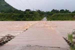 Bộ Nông nghiệp và Môi trường hỗ trợ khẩn cấp Quảng Trị khắc phục hậu quả bão số 1