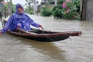 Bộ Nông nghiệp và Môi trường hỗ trợ khẩn cấp Huế khắc phục hậu quả bão số 1