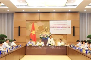 Quốc hội giám sát việc bảo vệ môi trường của EVN và Vinachem