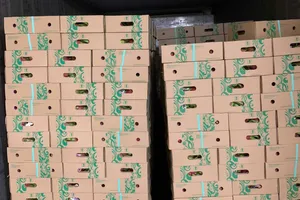 Tắc đường xuất khẩu thanh long sang châu Âu: ‘Ngưng bao nhiêu tuần là thiệt hại bấy nhiêu’