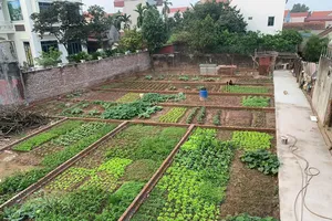 Hàng triệu hộ dân, doanh nghiệp được giảm 30% tiền thuê đất năm 2025