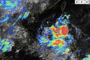 Bộ Nông nghiệp và Môi trường họp khẩn để ứng phó với bão Kajiki