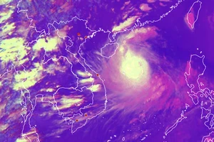 Cảnh báo khẩn: Bão số 5 có nguy cơ thiên tai cấp rất lớn từ Thanh Hoá đến Quảng Trị