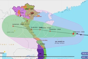 Thủ tướng chỉ đạo tập trung ứng phó khẩn cấp bão số 5