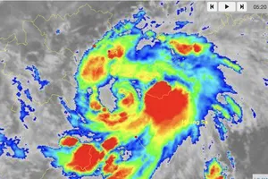 Cuồng phong bão số 5 đang cách Nghệ An - Quảng Trị 200km