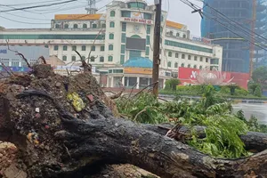 Ông Mai Văn Khiêm cảnh báo lũ quét, sạt lở ở Nghệ An, Hà Tĩnh, Thanh Hoá