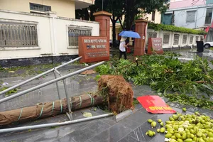 Hàng ngàn ngôi nhà đang bị ngập, nhiều thôn chia cắt vì bão số 5