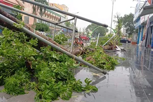 Nhiều nơi ở miền Trung tan tác sau bão số 5