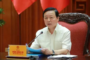 Phó Thủ tướng: Giữ bảng giá đất 5 năm, kèm hệ số điều chỉnh theo thị trường