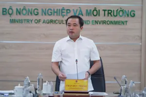 Philippines và Indonesia tạm ngừng nhập khẩu gạo, Bộ NN&MT họp gấp