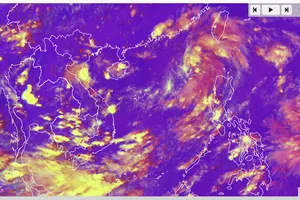 Biển Đông xuất hiện bão số 8 (Mitag)