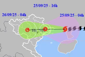 Bão số 9 tiến gần Quảng Ninh, gió giật cấp 11