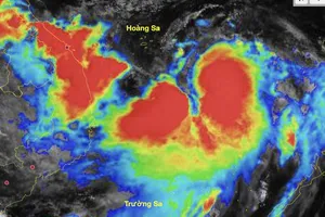 Bão số 10 đi rất nhanh, đêm mai đổ bộ Nghệ An-Quảng Trị