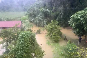 Mưa lớn, lũ đổ về Cao Bằng, nhiều khu vực sạt lở, ngập lụt nghiêm trọng