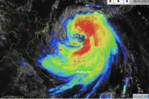 Bão số 11 chiều nay xuống vịnh Bắc Bộ