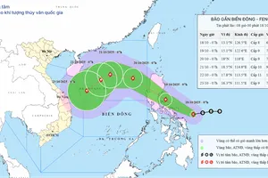 Tối mai, cơn bão Fengshen vào Biển Đông, miền Bắc đón gió mùa đông bắc đợt đầu 