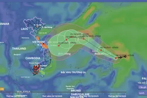 Dự báo mới nhất về tác động của cơn bão Fengshen và không khí lạnh tới miền Trung