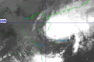 Bão số 12 sẽ đổ bộ vào Huế - Quảng Ngãi gây mưa rất lớn