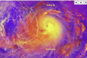 Bão số 13 chỉ còn cách Quy Nhơn 250km, Lý Sơn đã có gió mạnh