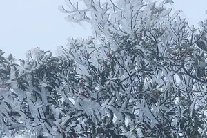 Người dân bất ngờ khi miền Bắc xuất hiện băng giá sớm