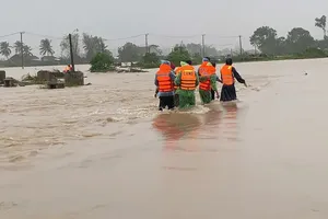 Thông tin về lũ Miền Trung chiều 21-11: Lũ trên sông Krông Ana, sông Đồng Nai đang lên